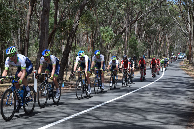 Orica-GreenEDGE on the front of the peloton but too late to catch Bobridge