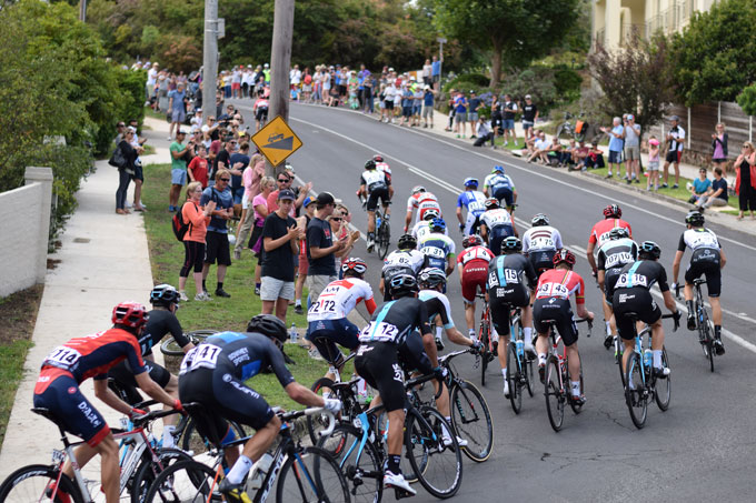 Bunch heading up the Melville Ave climb in the 2016 Cadel Evans Road Race